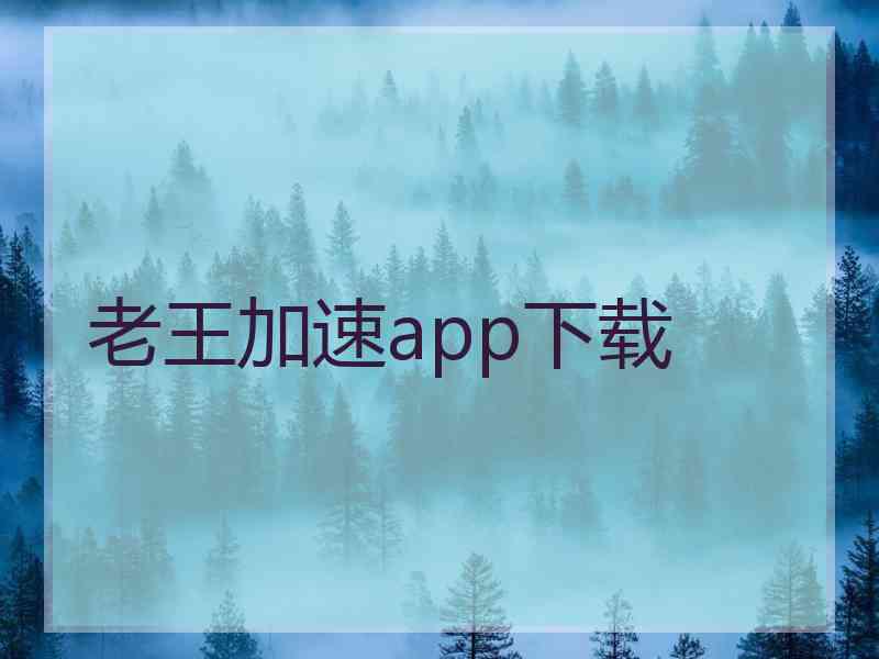 老王加速app下载