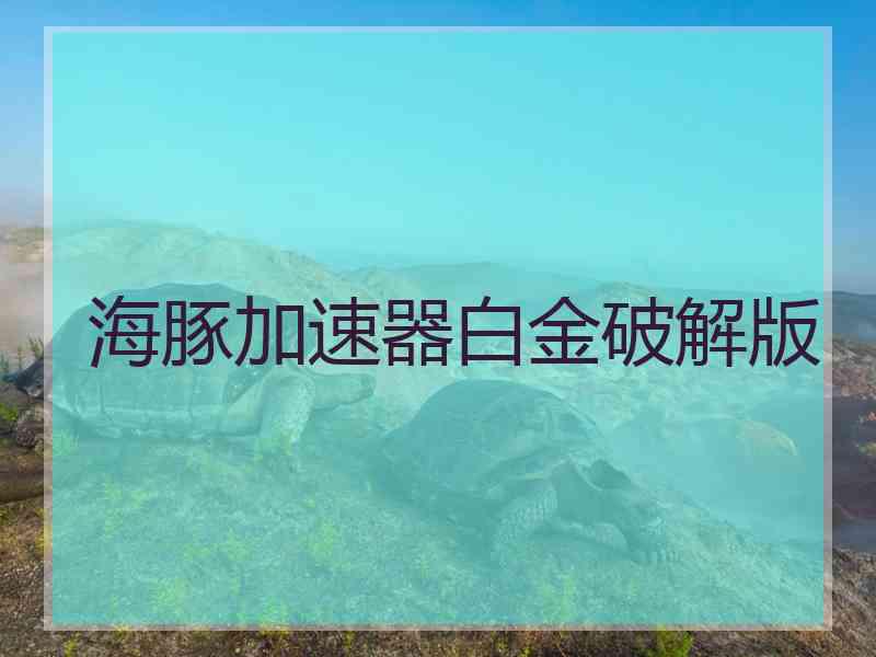 海豚加速器白金破解版