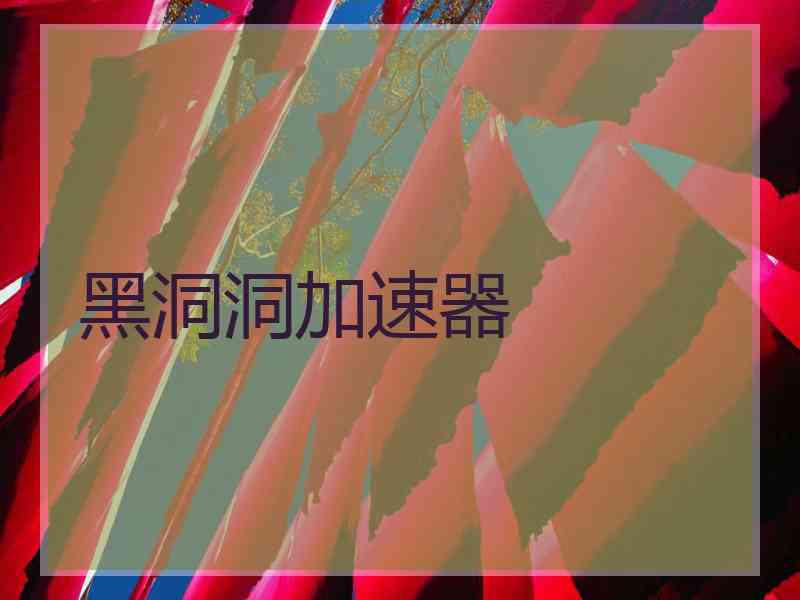 黑洞洞加速器