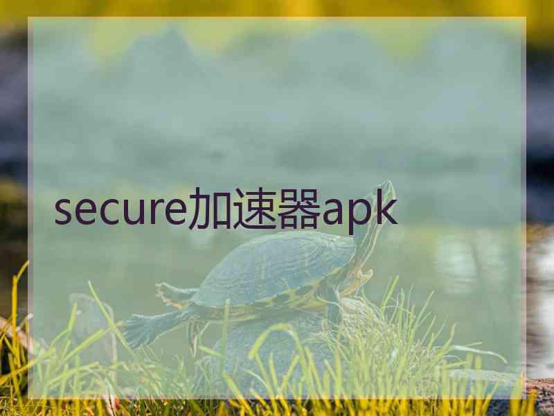 secure加速器apk