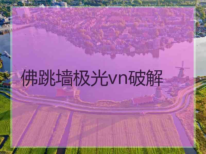 佛跳墙极光vn破解
