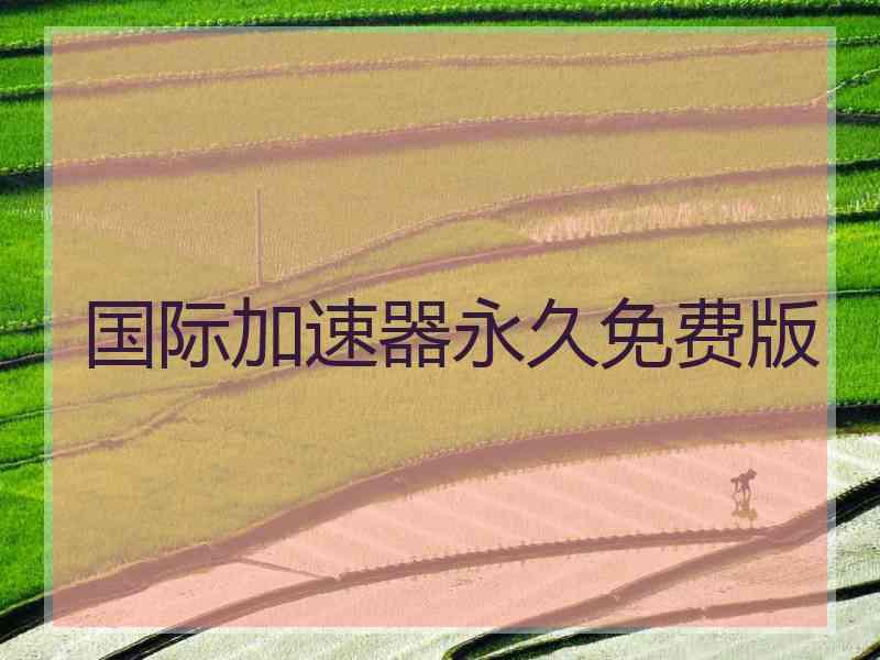 国际加速器永久免费版