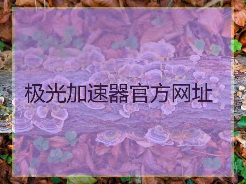 极光加速器官方网址