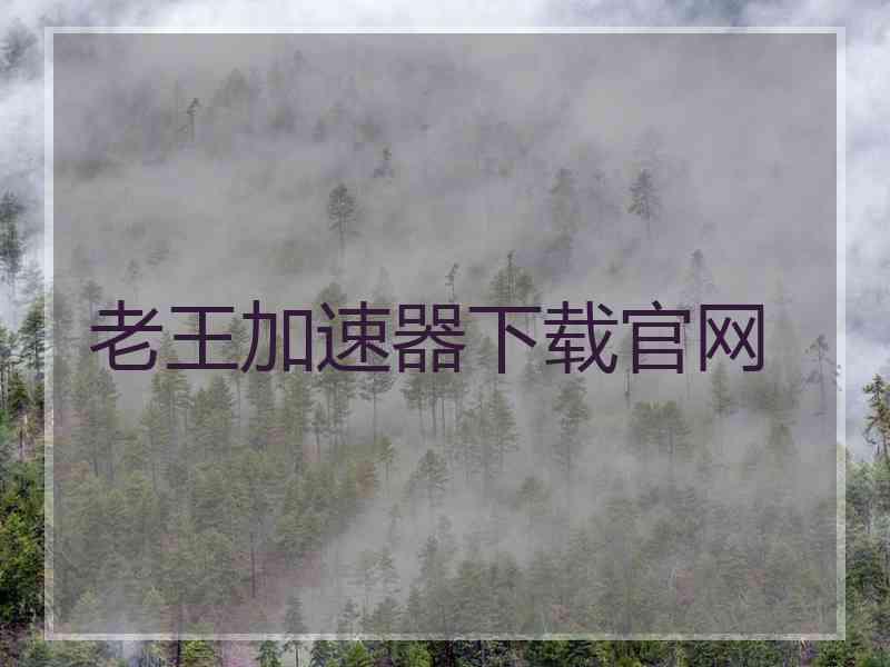 老王加速器下载官网