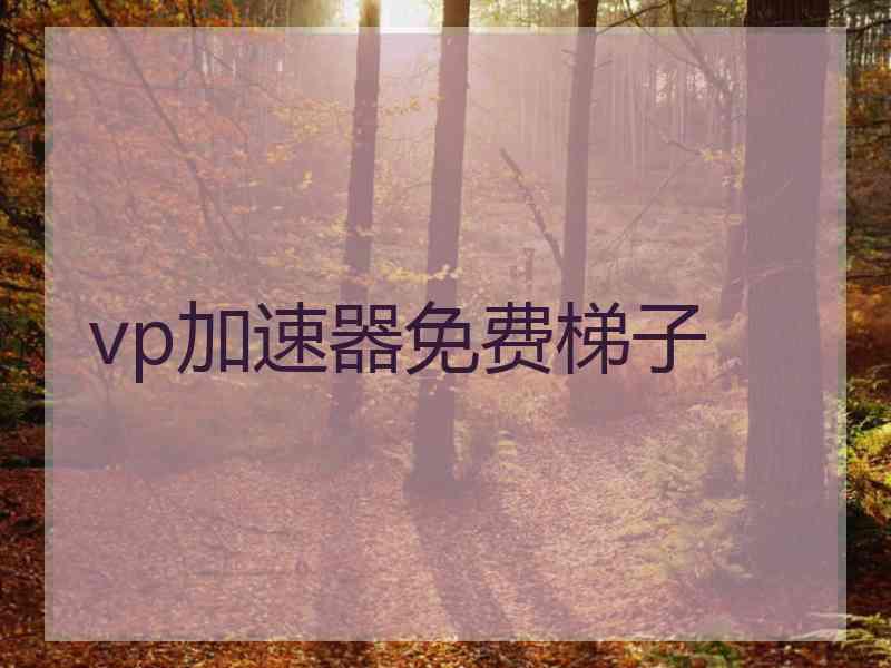 vp加速器免费梯子