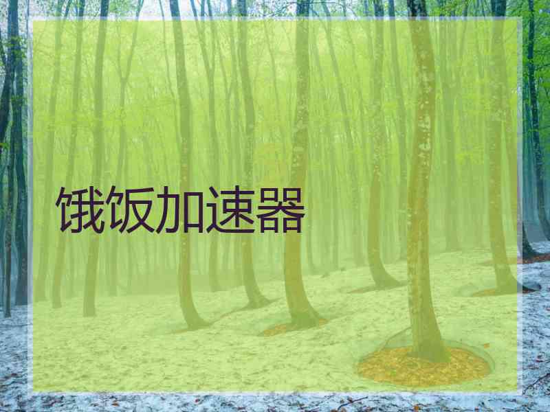 饿饭加速器
