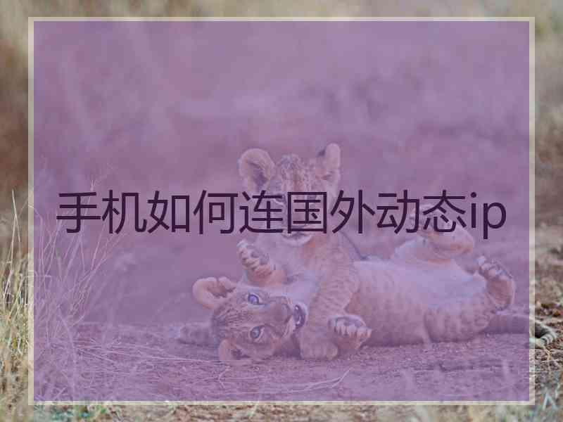 手机如何连国外动态ip
