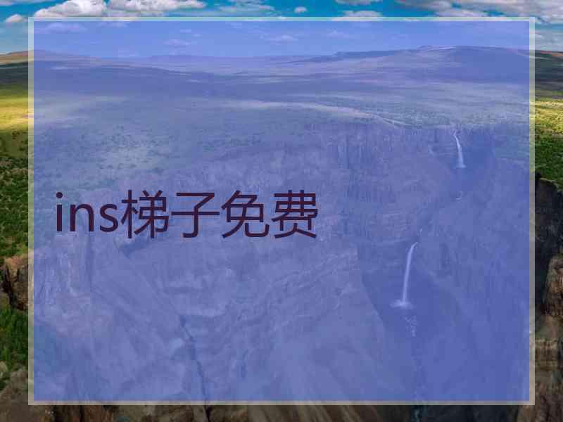 ins梯子免费