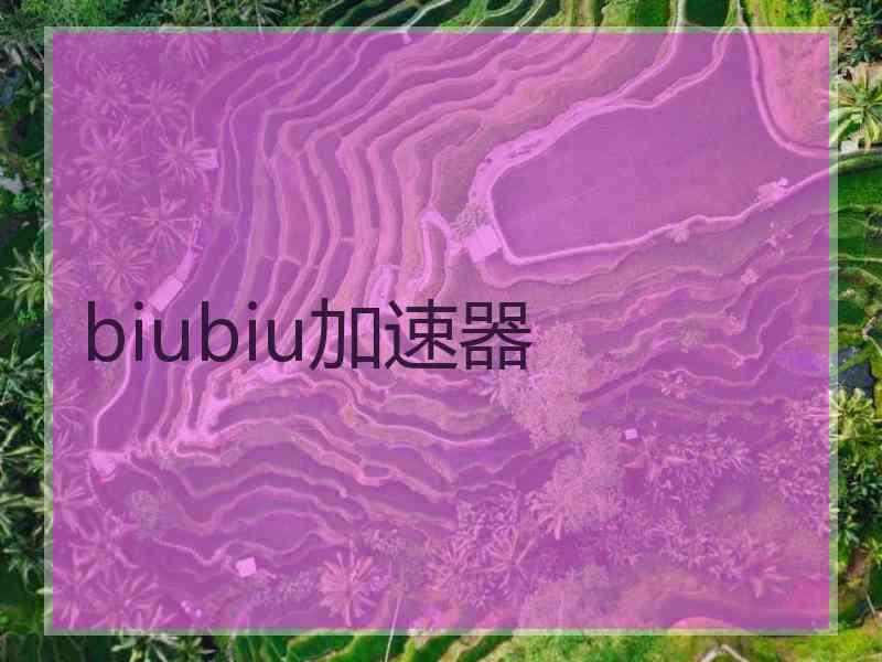 biubiu加速器