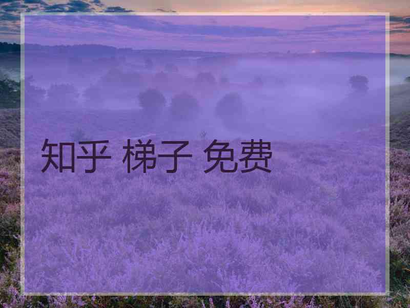 知乎 梯子 免费