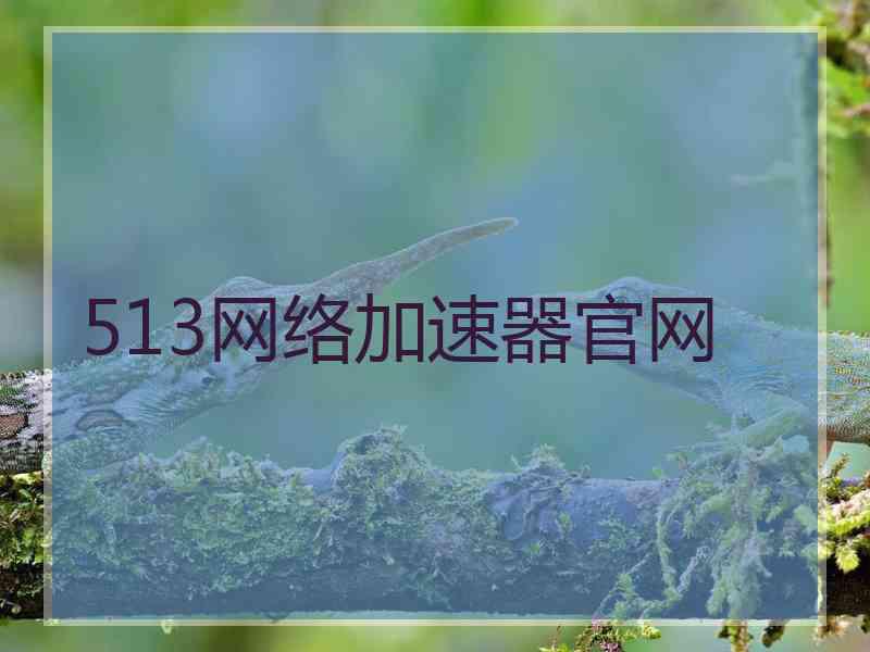 513网络加速器官网