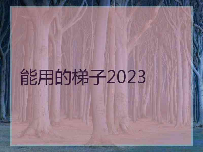 能用的梯子2023