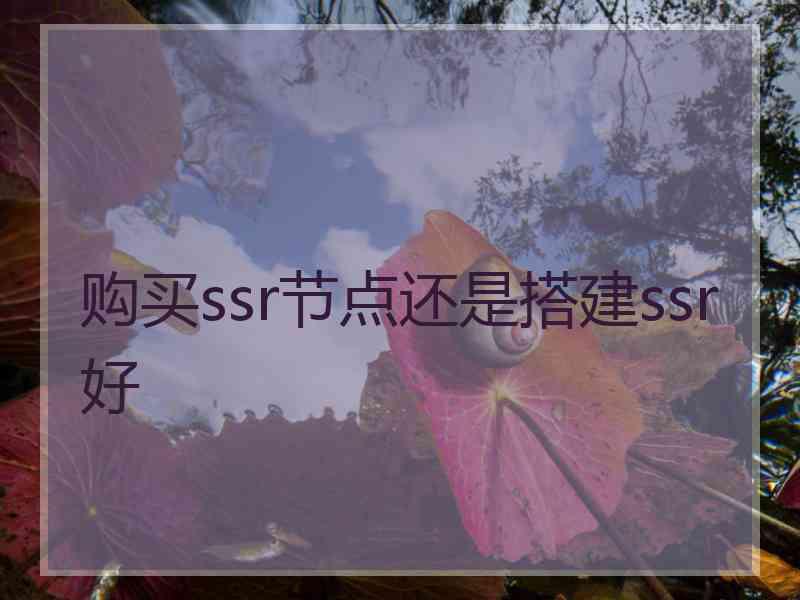 购买ssr节点还是搭建ssr好