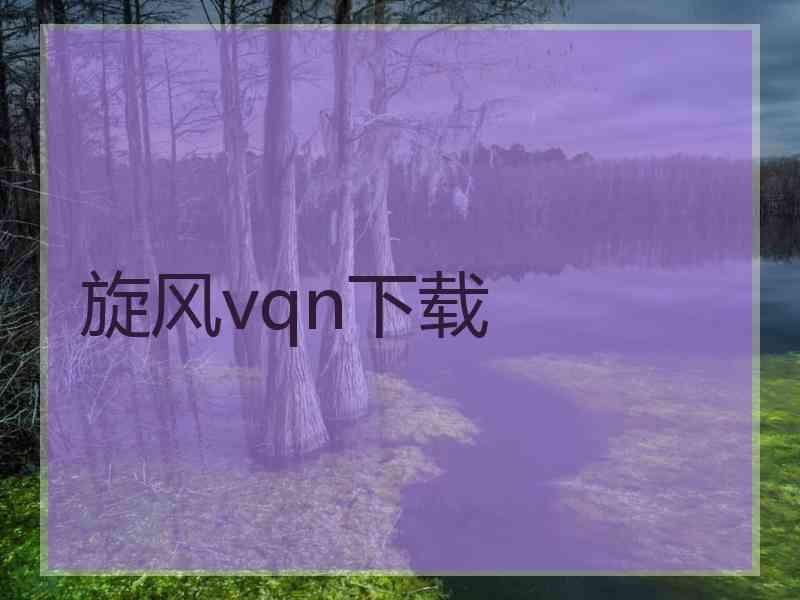 旋风vqn下载