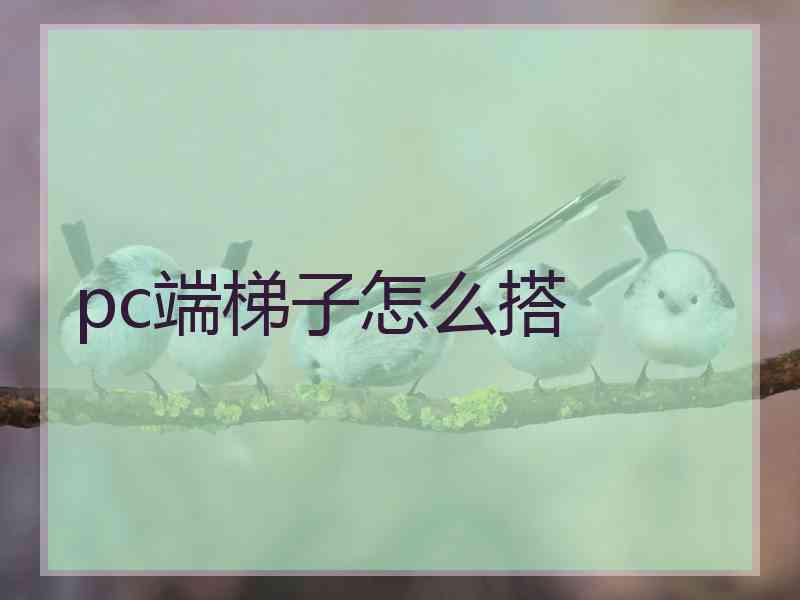 pc端梯子怎么搭