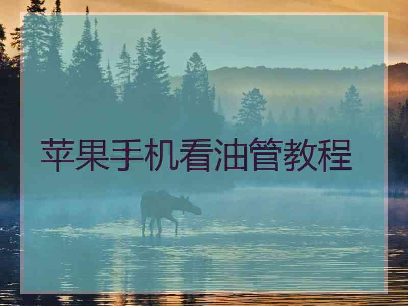 苹果手机看油管教程