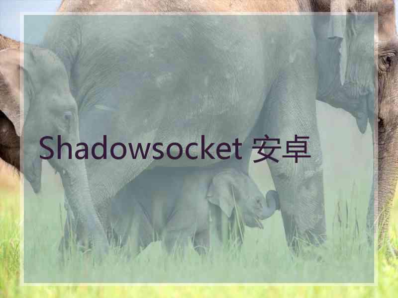 Shadowsocket 安卓