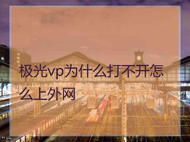 极光vp为什么打不开怎么上外网