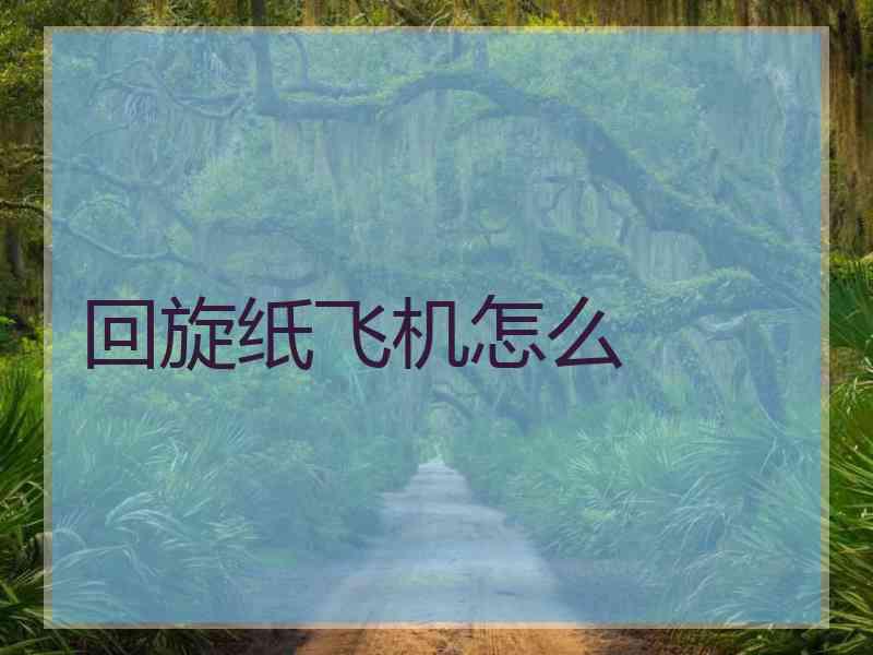 回旋纸飞机怎么