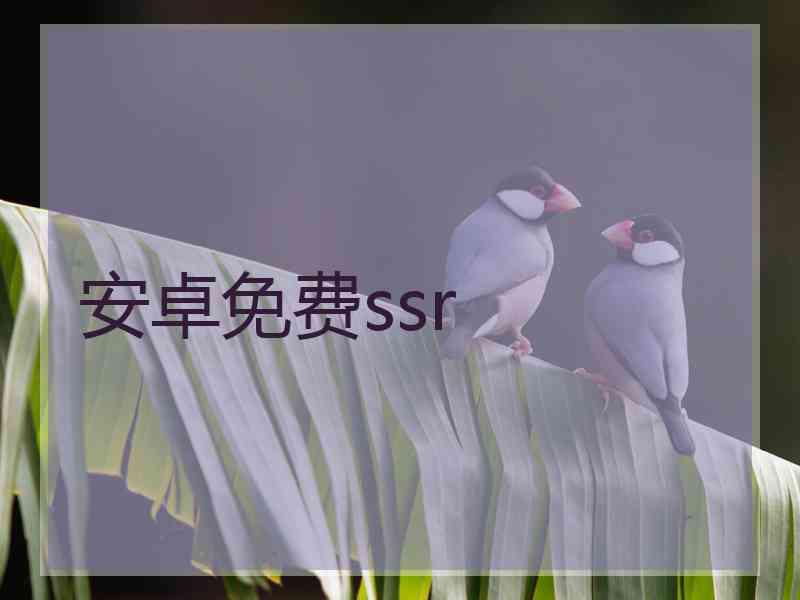安卓免费ssr