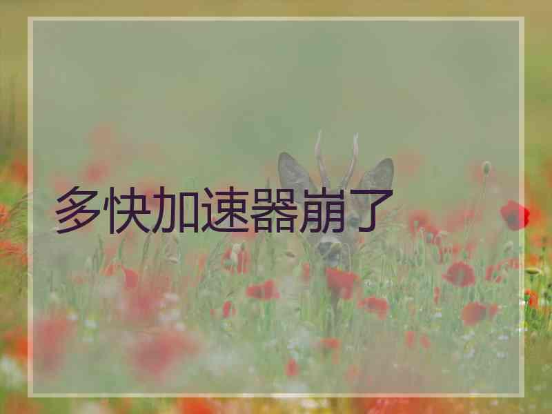 多快加速器崩了