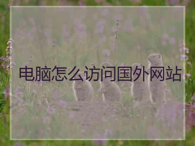 电脑怎么访问国外网站