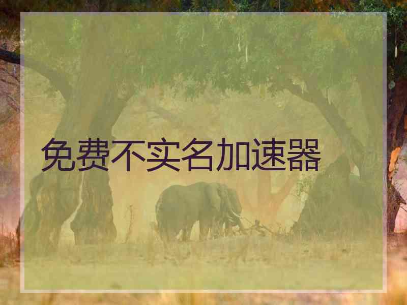 免费不实名加速器