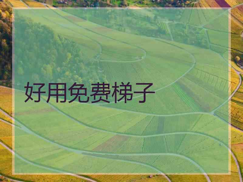 好用免费梯子
