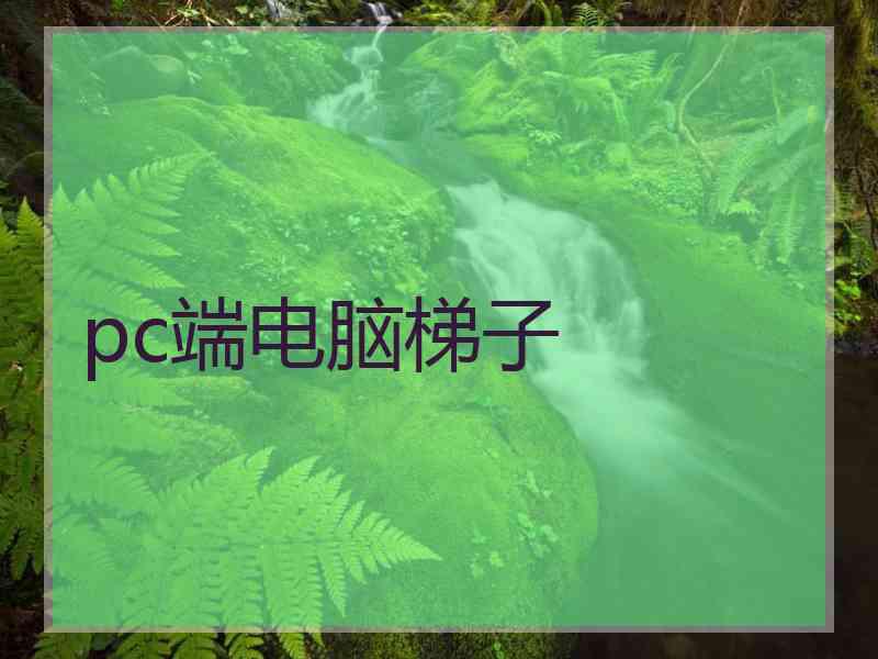 pc端电脑梯子
