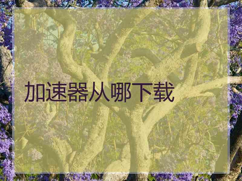加速器从哪下载