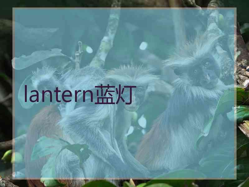 lantern蓝灯