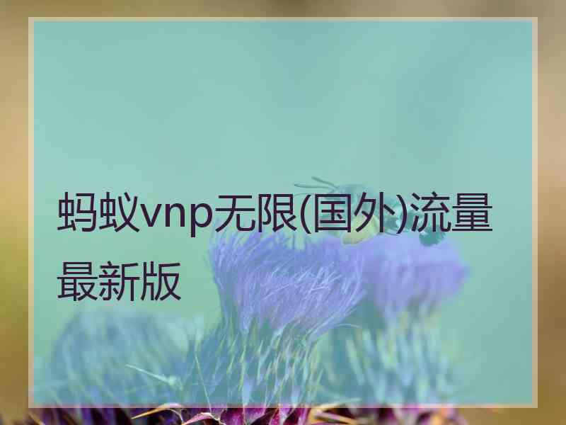 蚂蚁vnp无限(国外)流量最新版