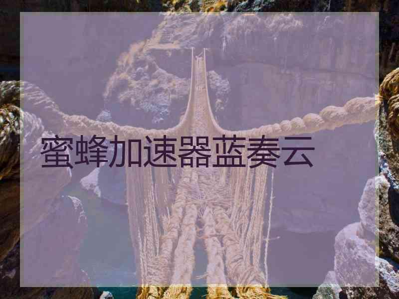 蜜蜂加速器蓝奏云
