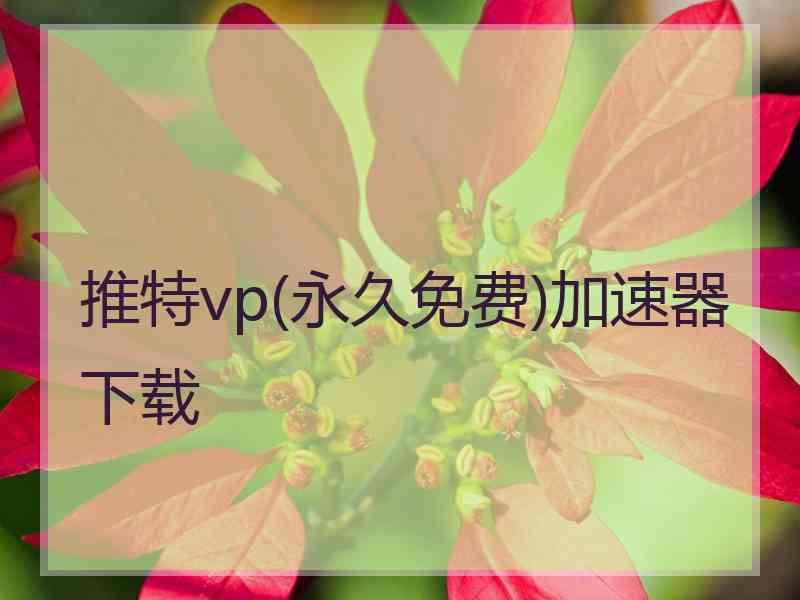 推特vp(永久免费)加速器下载