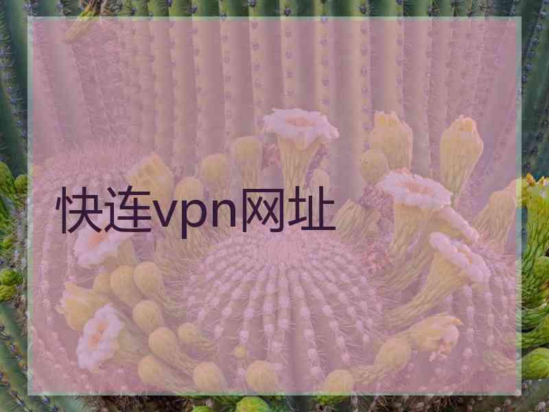 快连vpn网址