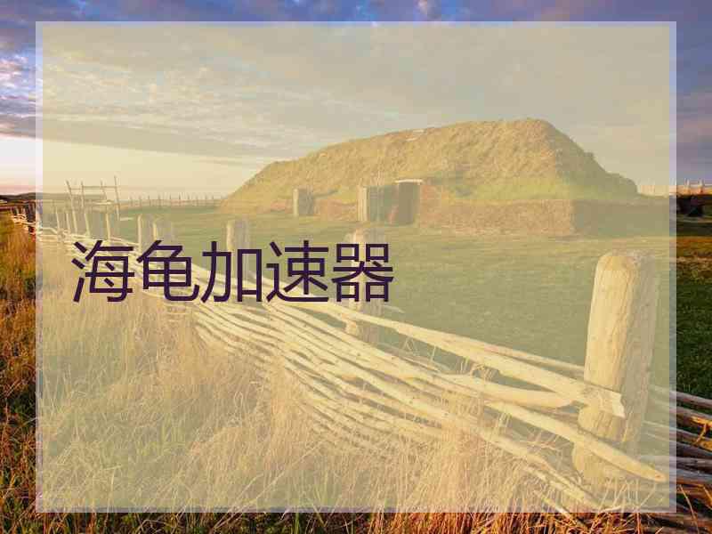 海龟加速器