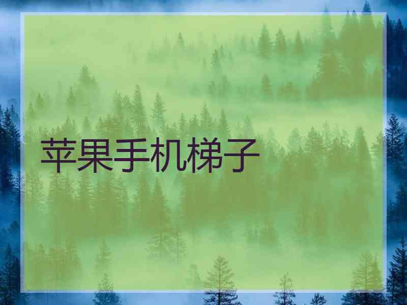 苹果手机梯子