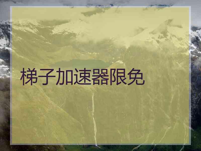 梯子加速器限免