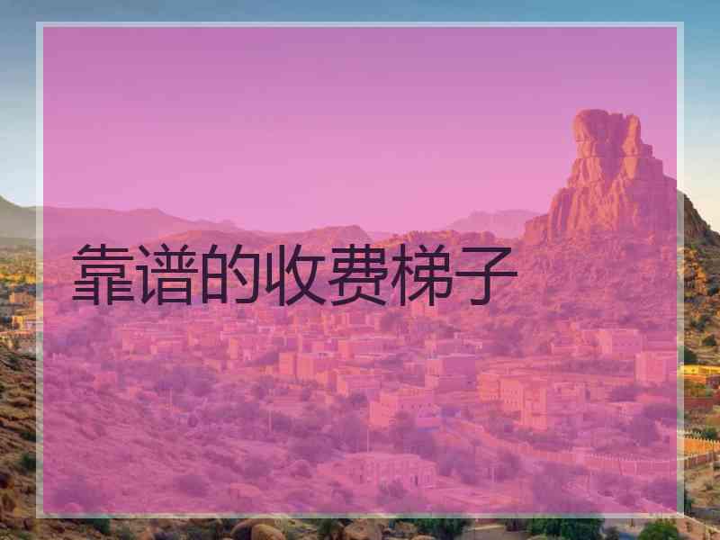 靠谱的收费梯子