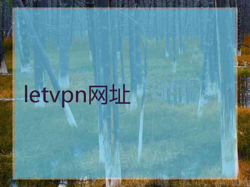 letvpn网址