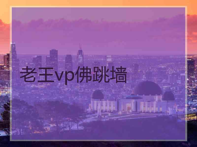 老王vp佛跳墙