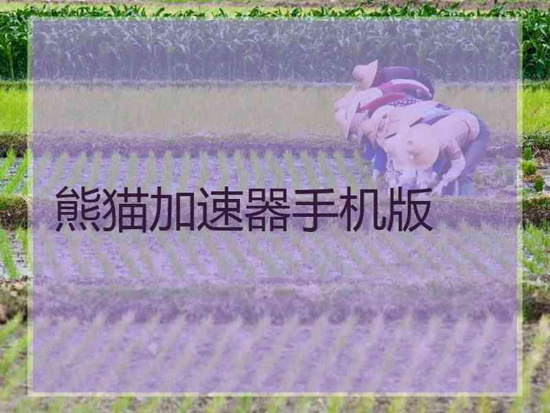 熊猫加速器手机版
