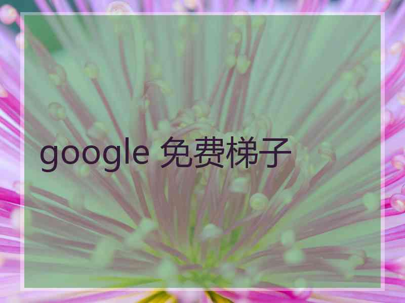 google 免费梯子