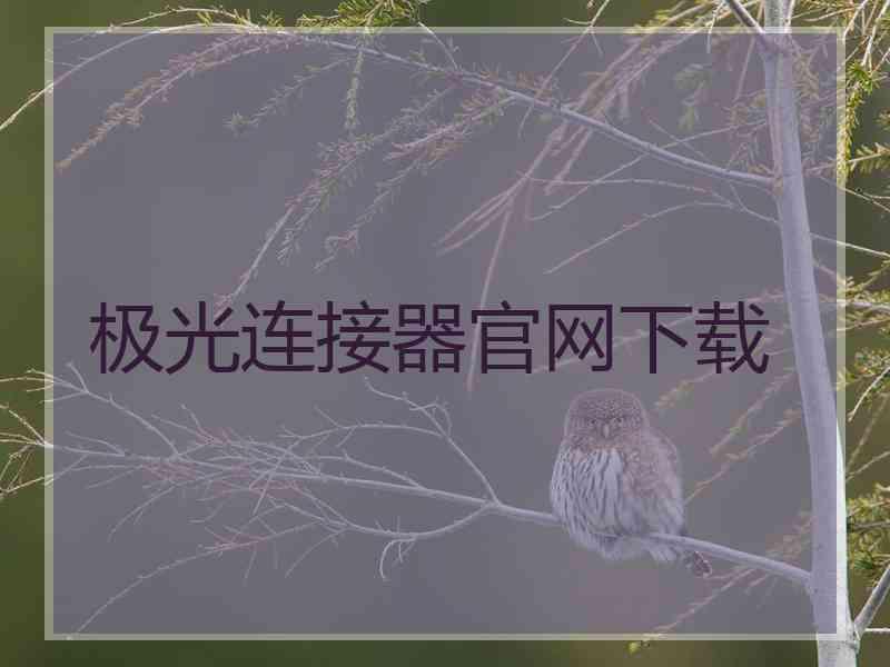 极光连接器官网下载