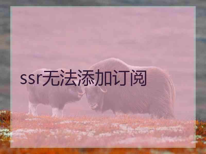 ssr无法添加订阅