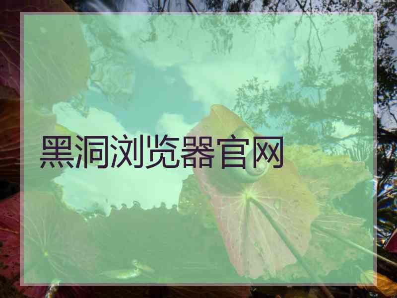 黑洞浏览器官网