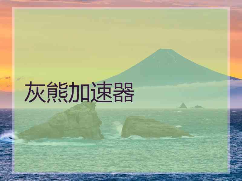 灰熊加速器