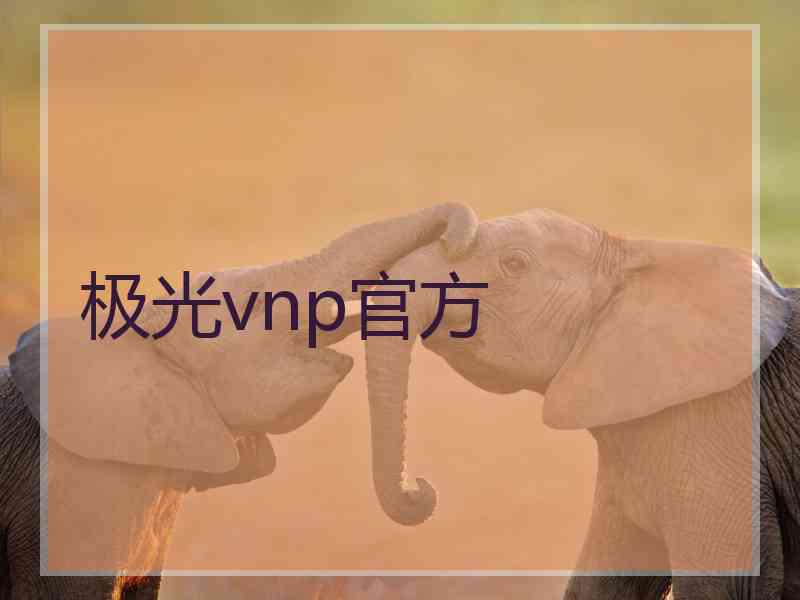 极光vnp官方