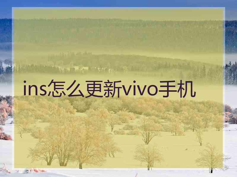 ins怎么更新vivo手机