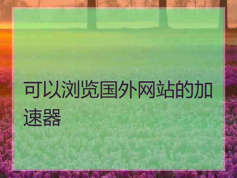 可以浏览国外网站的加速器